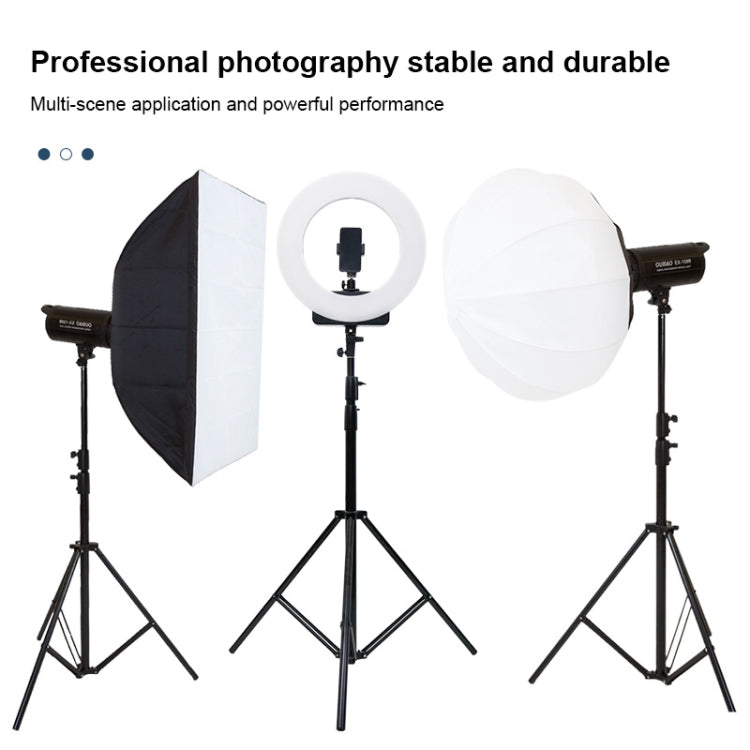 TRIOPO 2.2m Height Professional Photography Metal Lighting Stand Holder for Studio Flash Light, 2.2m Height