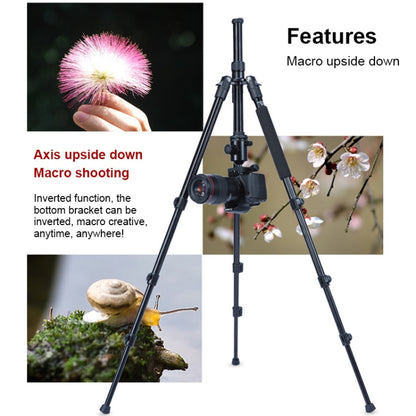 TRIOPO Oubao A-308S Adjustable Portable  Aluminum Alloy Tripod with Ball Head for SLR Camera, A-308S