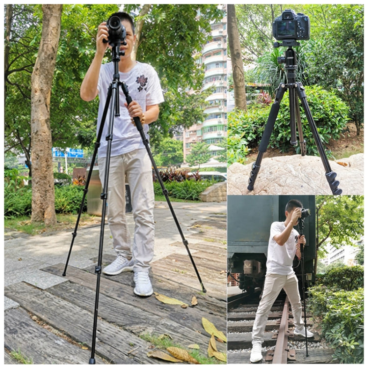 TRIOPO Oubao A-308S Adjustable Portable  Aluminum Alloy Tripod with Ball Head for SLR Camera, A-308S