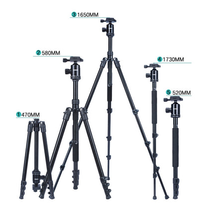 TRIOPO Oubao A-308S Adjustable Portable  Aluminum Alloy Tripod with Ball Head for SLR Camera, A-308S