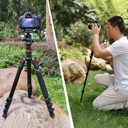 TRIOPO Oubao A-208S Adjustable Portable  Aluminum Alloy Tripod with Ball Head for SLR Camera, A-208S
