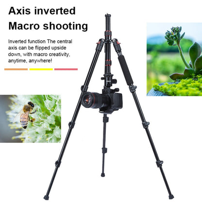 TRIOPO Oubao A-208S Adjustable Portable  Aluminum Alloy Tripod with Ball Head for SLR Camera, A-208S