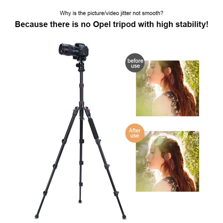 TRIOPO Oubao A-208S Adjustable Portable  Aluminum Alloy Tripod with Ball Head for SLR Camera, A-208S