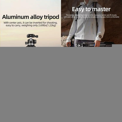 BEXIN TA254-BS30 Portable Collapsible Aluminum Alloy Camera Tripod with Head, TA254-BS30