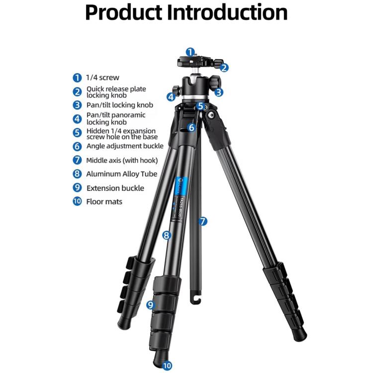 BEXIN TA254-BS30 Portable Collapsible Aluminum Alloy Camera Tripod with Head, TA254-BS30