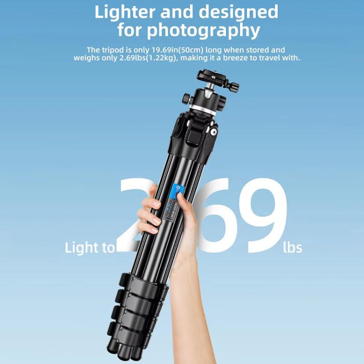 BEXIN TA254-BS30 Portable Collapsible Aluminum Alloy Camera Tripod with Head, TA254-BS30