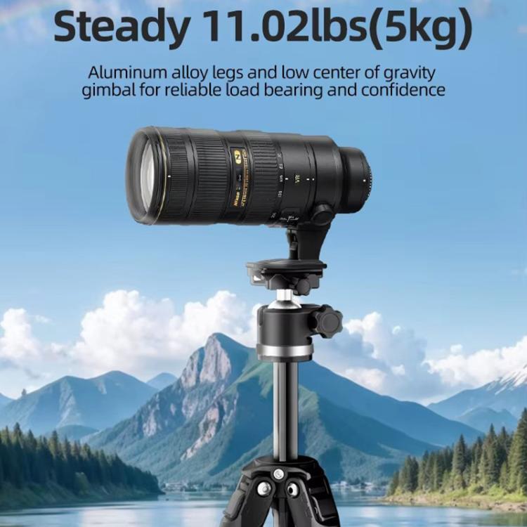 BEXIN TA254-BS30 Portable Collapsible Aluminum Alloy Camera Tripod with Head, TA254-BS30