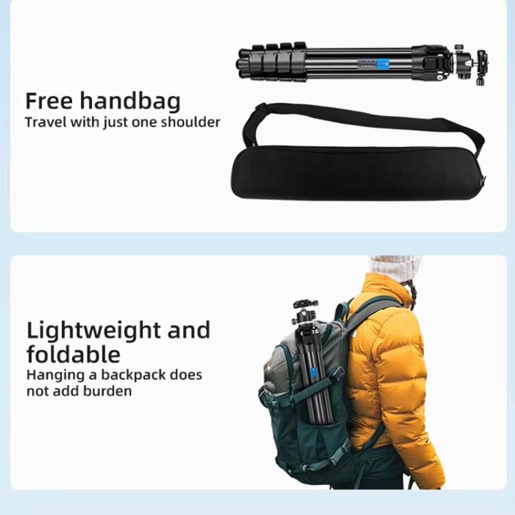 BEXIN TA254-BS30 Portable Collapsible Aluminum Alloy Camera Tripod with Head, TA254-BS30