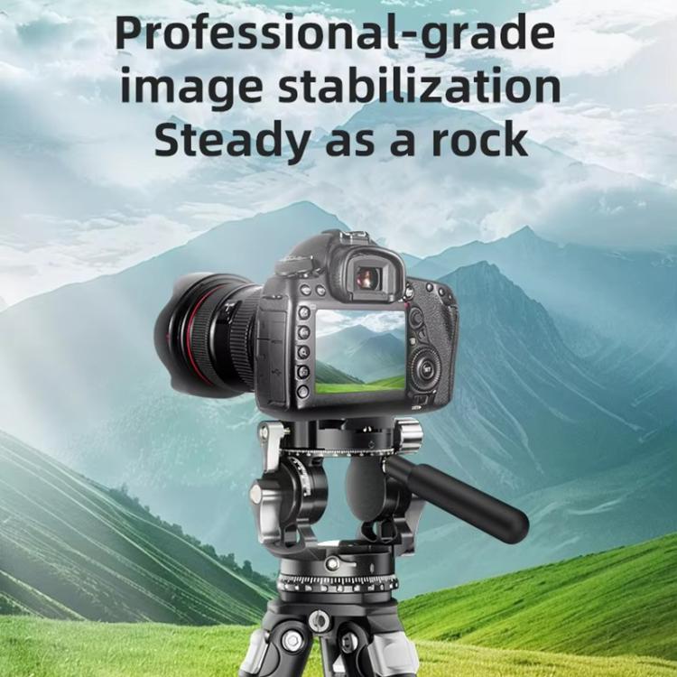 BEXIN RK294 Portable Collapsible Carbon Fiber Camera Tripod, RK294
