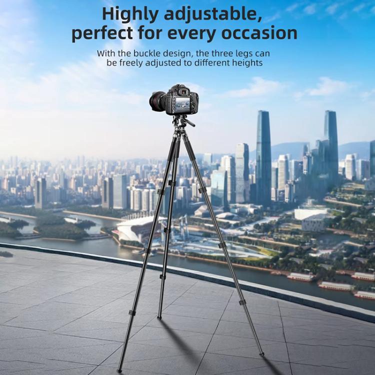 BEXIN RK294 Portable Collapsible Carbon Fiber Camera Tripod, RK294