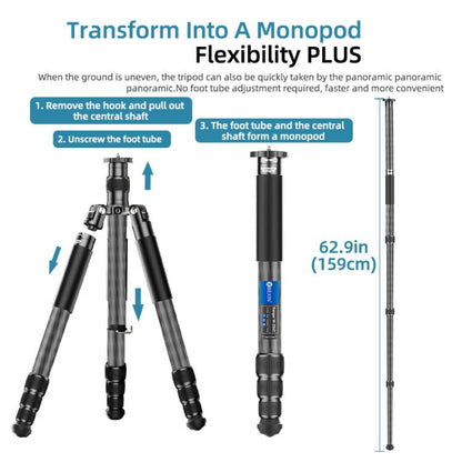 BEXIN W-334C Portable DSLR Camera 2 in 1 Carbon Fiber Tripod Detachable Monopod, W-334C