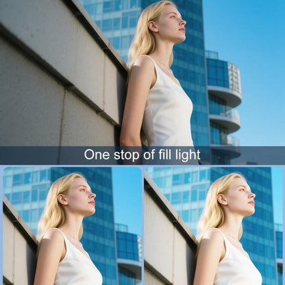 Desiontal F03 Mini On-Camera Flash Light Speedlite for Mirrorless Cameras, F03