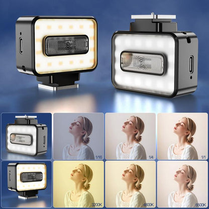 Desiontal F03 Mini On-Camera Flash Light Speedlite for Mirrorless Cameras, F03