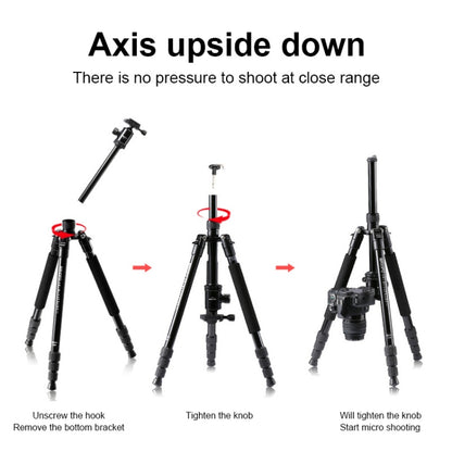 TRIOPO M2508 Multifunction Adjustable 4-Section Portable Aluminum Alloy Tripod Monopod with D-2A Ball Head for SLR Camera, M2508+D2A