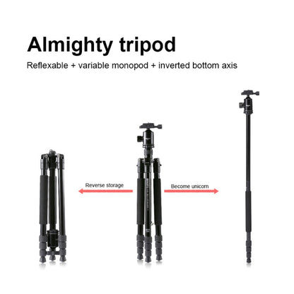 TRIOPO M2508 Multifunction Adjustable 4-Section Portable Aluminum Alloy Tripod Monopod with D-2A Ball Head for SLR Camera, M2508+D2A