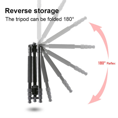 TRIOPO M2508 Multifunction Adjustable 4-Section Portable Aluminum Alloy Tripod Monopod with D-2A Ball Head for SLR Camera, M2508+D2A