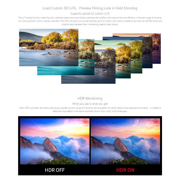 SEETEC P215 PRO-CO 21.5 inch 1000nit High Bright Broadcast Monitor Full HD 1920x1080Monitor, P215 PRO-CO