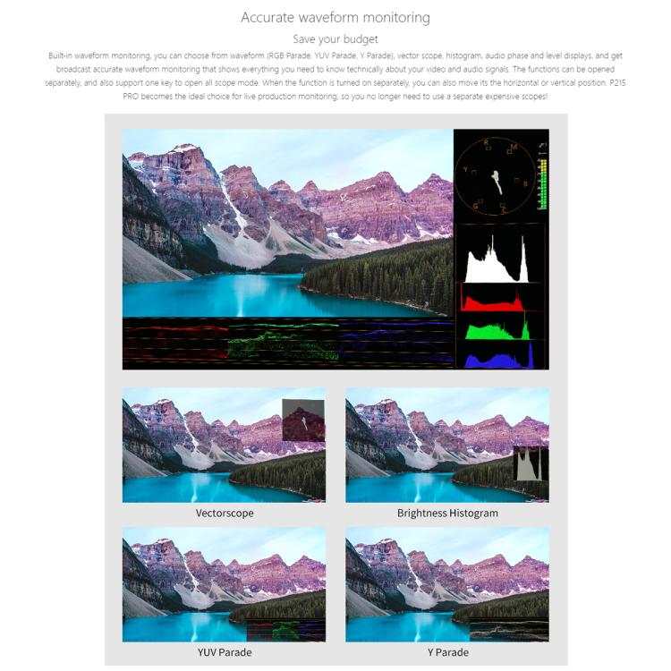 SEETEC P215 PRO 21.5 inch 1000nit High Bright Broadcast Monitor Full HD 1920x1080Monitor, P215 PRO