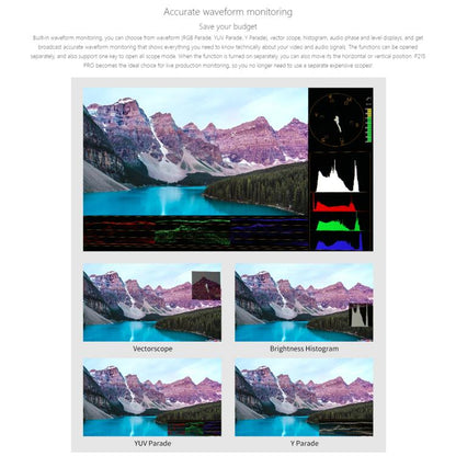 SEETEC P215 PRO 21.5 inch 1000nit High Bright Broadcast Monitor Full HD 1920x1080Monitor, P215 PRO