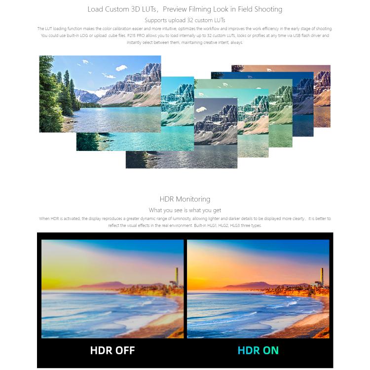 SEETEC P215 PRO 21.5 inch 1000nit High Bright Broadcast Monitor Full HD 1920x1080Monitor, P215 PRO