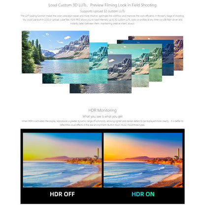 SEETEC P215 PRO 21.5 inch 1000nit High Bright Broadcast Monitor Full HD 1920x1080Monitor, P215 PRO