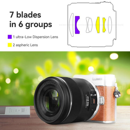 YONGNUO YN25mm F1.7M STM M4/3 Mount Lens for Panasonic / Olympus, YN25mm F1.7M