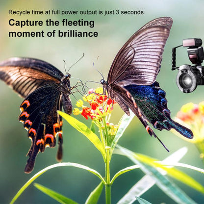 YONGNUO YN14EX II TTL HSS Macro Ringlight Flash for Dental Photography & Macro Shooting For Canon