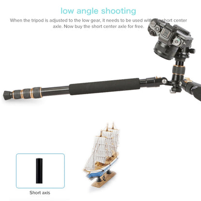 TRIOPO 652 Horizontal Arm Tripod Mount Quick Release Center Column Boom Bracket with Tripod Ball-Head, 652