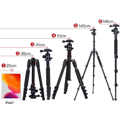 TRIOPO K2508S+B1S Adjustable Portable  Aluminum Alloy Tripod with Ball Head for SLR Camera, K2508S+B1S (Black), K2508S+B1S (Gold), K2508S+B1S (Red)
