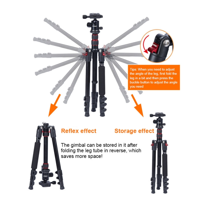 TRIOPO K2508S+B1S Adjustable Portable  Aluminum Alloy Tripod with Ball Head for SLR Camera, K2508S+B1S (Black), K2508S+B1S (Gold), K2508S+B1S (Red)