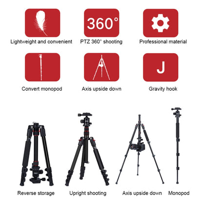 TRIOPO K2508S+B1S Adjustable Portable  Aluminum Alloy Tripod with Ball Head for SLR Camera, K2508S+B1S (Black), K2508S+B1S (Gold), K2508S+B1S (Red)