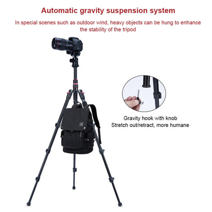 TRIOPO K2508S+B1S Adjustable Portable  Aluminum Alloy Tripod with Ball Head for SLR Camera, K2508S+B1S (Black), K2508S+B1S (Gold), K2508S+B1S (Red)