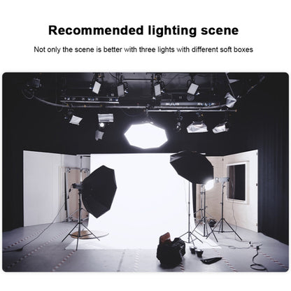 TRIOPO EX-150W Studio Flash Built-in Dissipate Heat System with EX-150III LED Single Light, EX-150W
