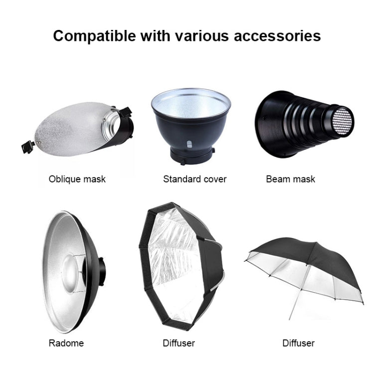 TRIOPO Oubao TTR300W Studio Flash with E27 150W Light Bulb, TTR300W