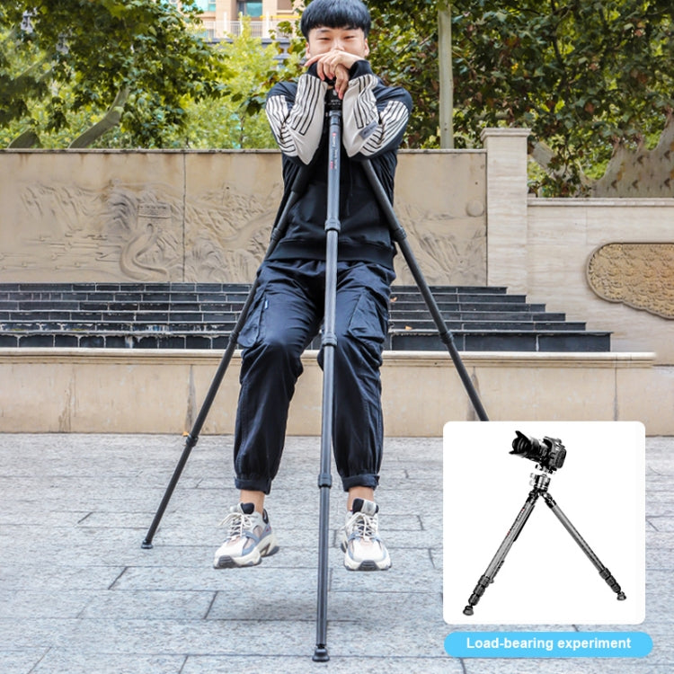 TRIOPO GS2808 Camcorder Photography No Axial Carbon Fiber Tripod Mount Holder with Ball Head, Load: 15KG, GS2808