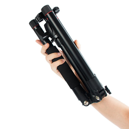 BEXIN MS12 Portable Lightweight Camera Ball Head Tripods Stand for Digital SLR DSLR camera