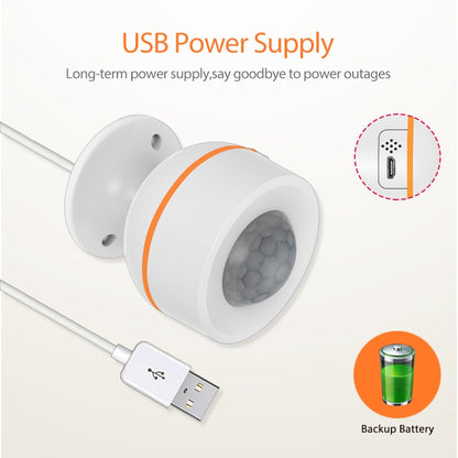 NEO NAS-PD07B Zigbee USB PIR Motion Sensor Home Alarm, PD07B