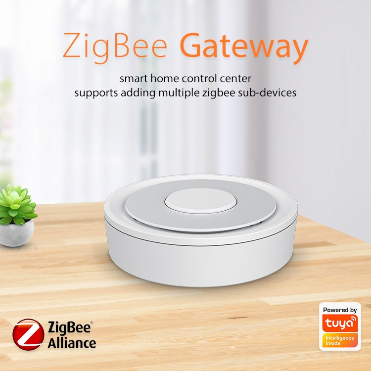 NEO NAS-GW02B ZigBee Cable Gateway Smart Control Center, Ethernet Port
