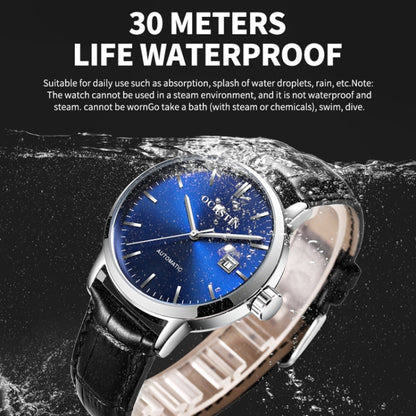 OCHSTIN 62025C Master Series Date  Mechanical Men Watch