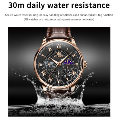 OLEVS 2893 Men Multifunctional Business Quartz Watch