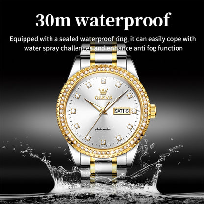 OLEVS 7003 Men Multifunctional Waterproof Mechanical Watch, 7003 Men