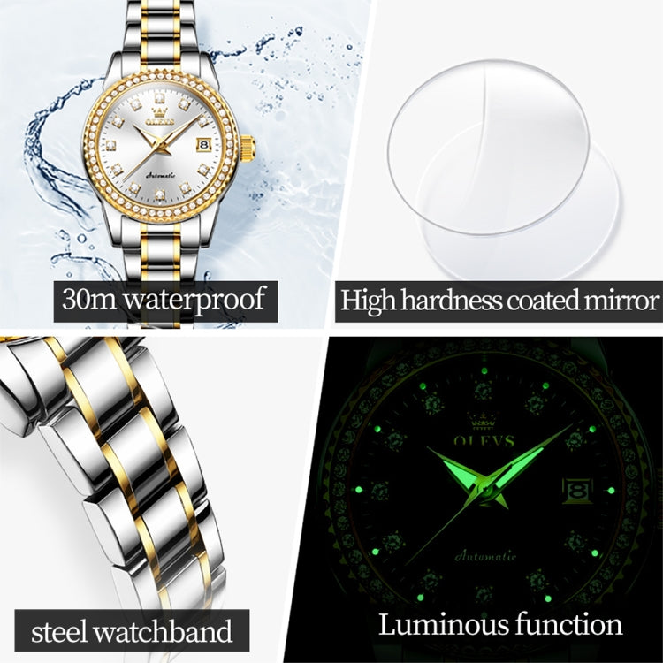 OLEVS 7003 Women Multifunctional Waterproof Mechanical Watch, 7003 Women