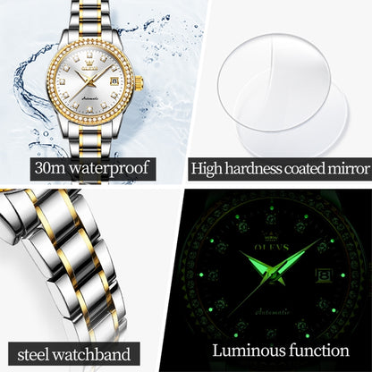 OLEVS 7003 Women Multifunctional Waterproof Mechanical Watch, 7003 Women