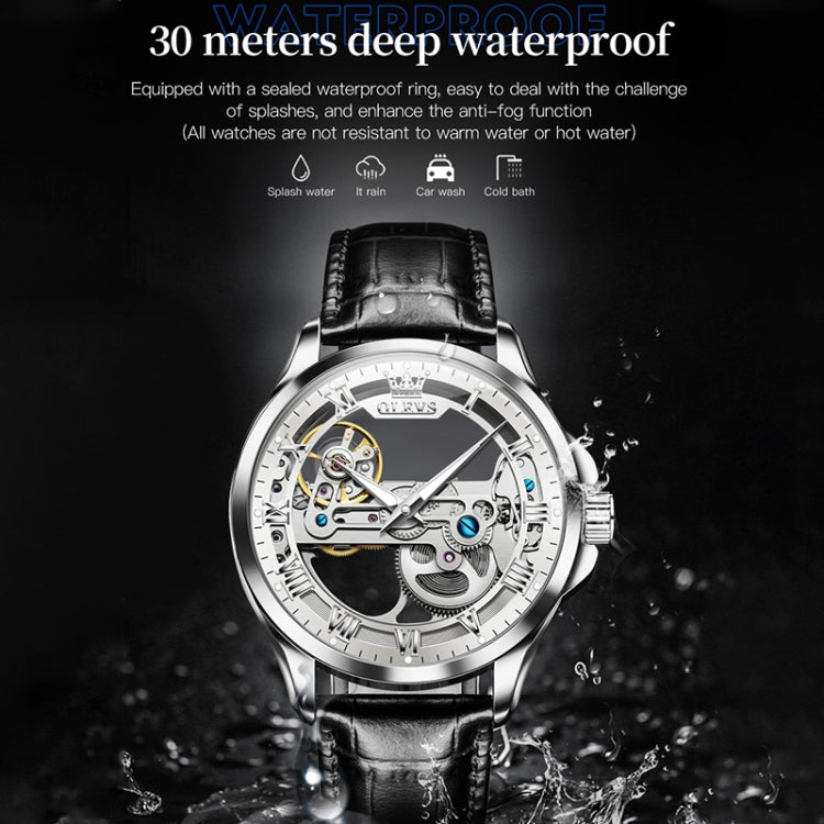 OLEVS 6661 Men Fashion Luminous Waterproof Mechanical Watch