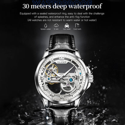 OLEVS 6661 Men Fashion Luminous Waterproof Mechanical Watch
