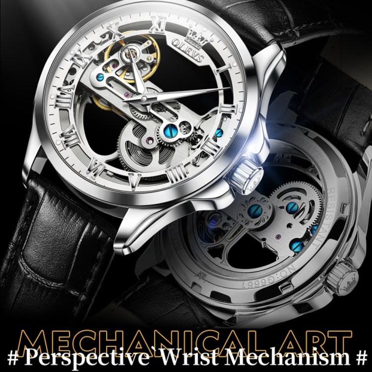 OLEVS 6661 Men Fashion Luminous Waterproof Mechanical Watch