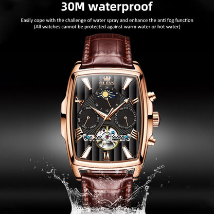 OLEVS 6675 Men Multifunctional Moon Phase Tourbillon Mechanical Watch
