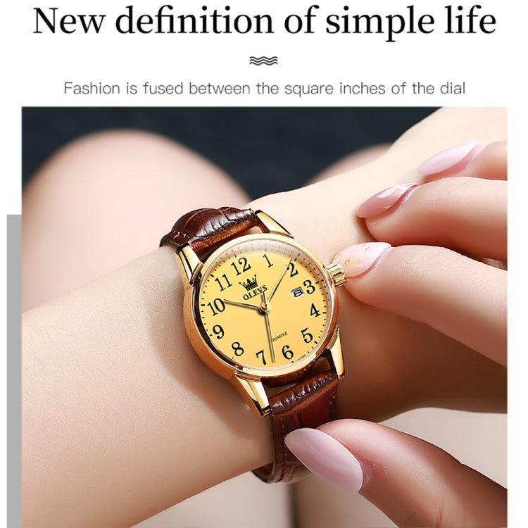 OLEVS 5566 Women Simple Single Calendar Waterproof Quartz Watch, 5566 Women