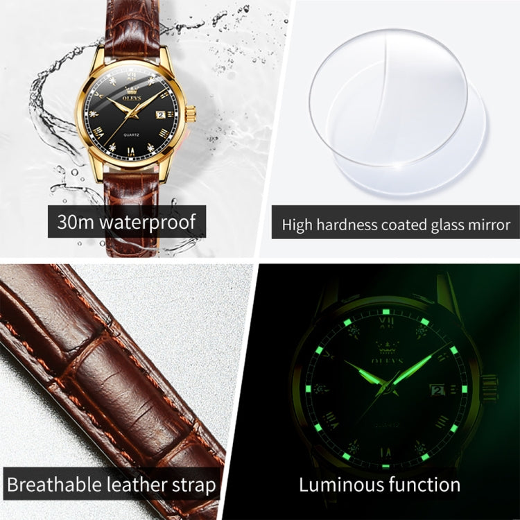 OLEVS 6896 Women Multifunctional Luminous Waterproof Quartz Watch, 6896 Women