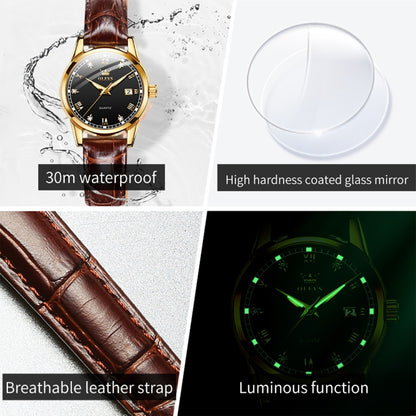 OLEVS 6896 Women Multifunctional Luminous Waterproof Quartz Watch, 6896 Women